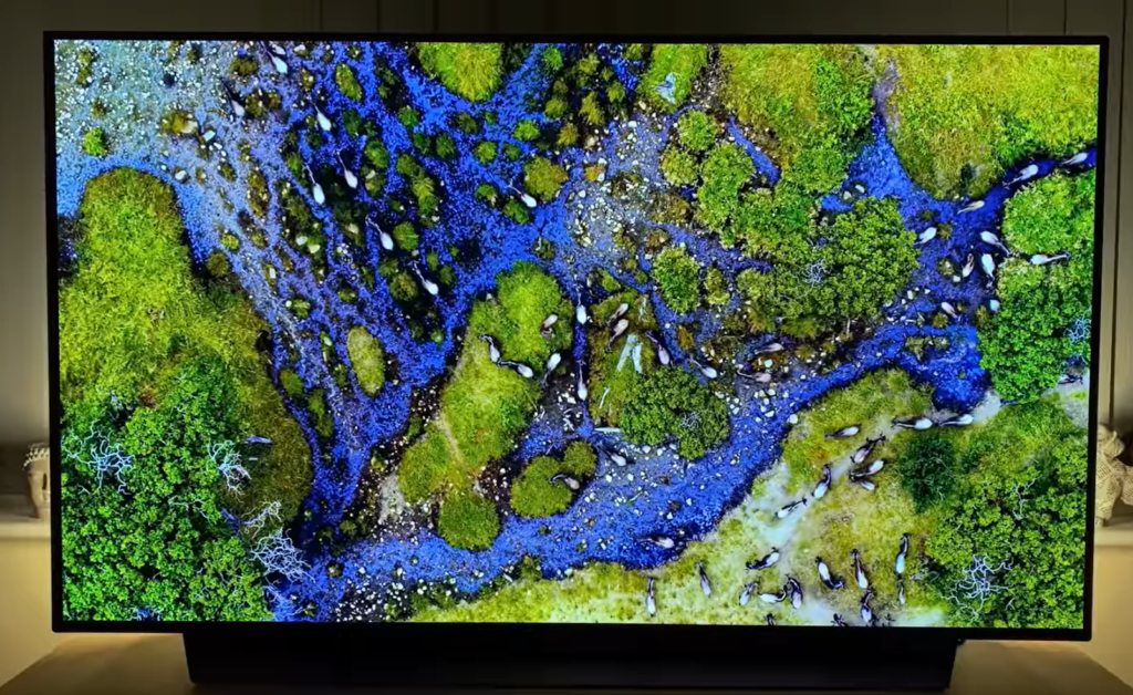 lg c2 OLED screen - aerial view of the natural landscape